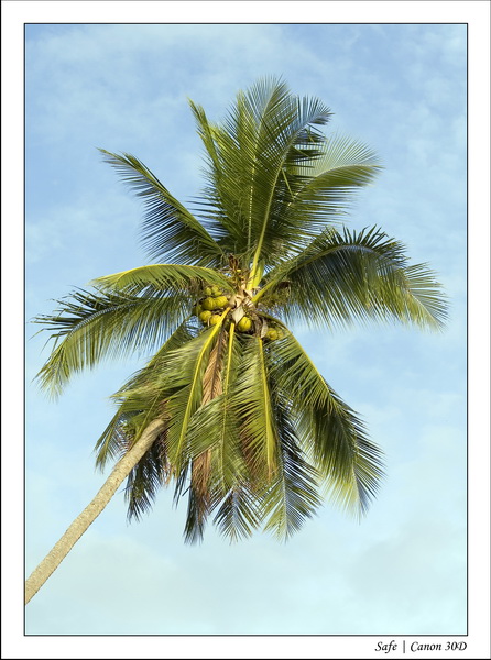 2008 - 07 - Leng Tengah - 025